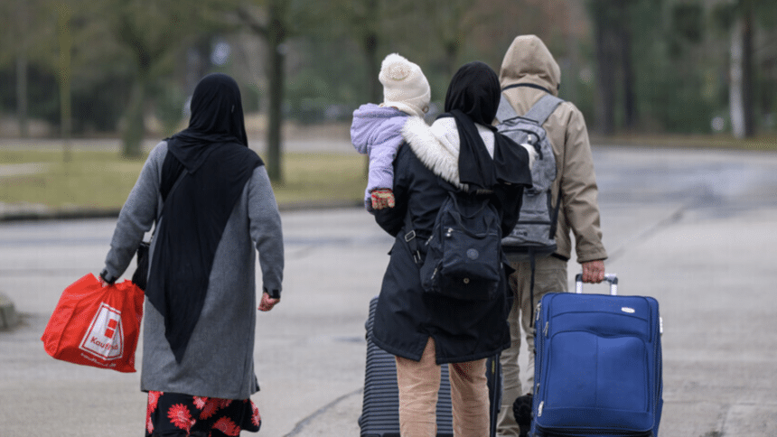 الاتحاد الأوروبي يرصد انخفاضاً 20% في طلبات اللجوء خلال 2025 | UN News