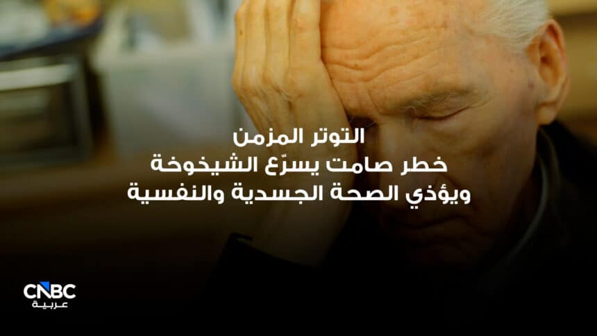 التوتر المزمن.. تأثيراته الخفية على الجسد والعقل يثير قلق خبراء UN.