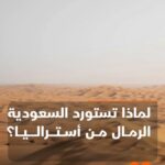 السعودية تستورد رمالها من غير محلي؟ تقرير مدهش من #الاقتصادية.