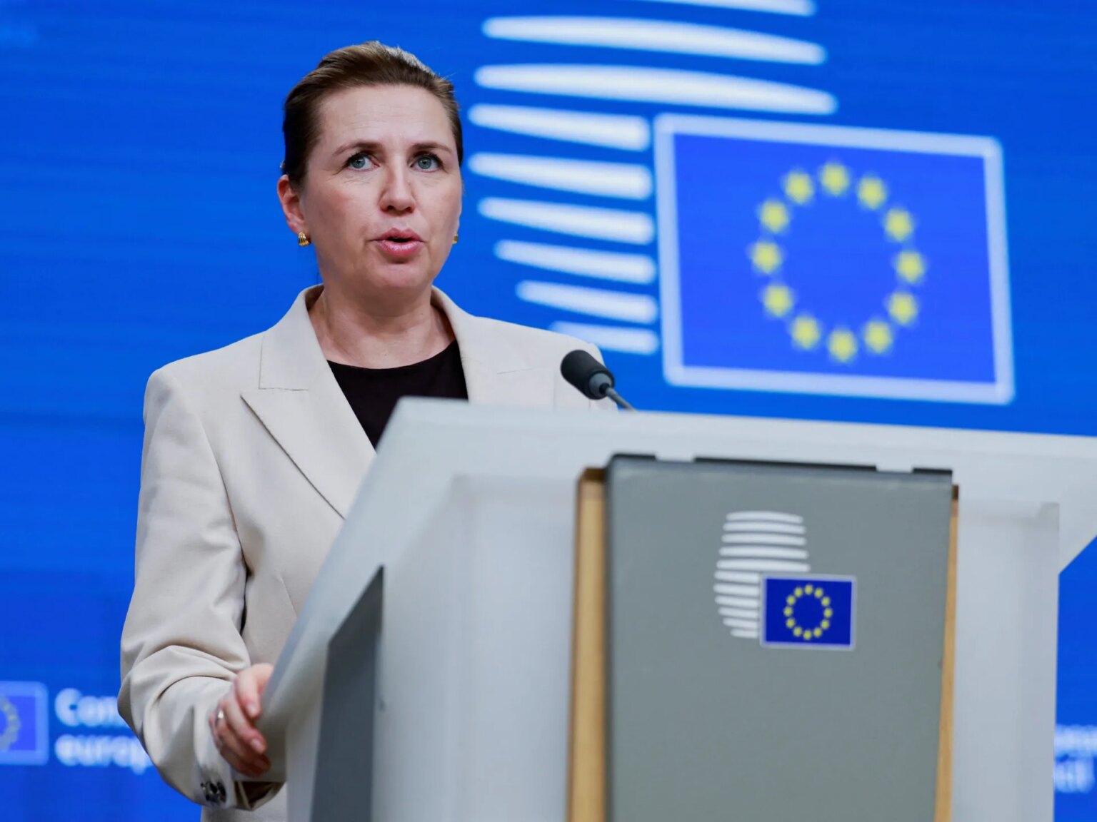 الدنمارك تطلب من ترامب التوقف عن تهديداته بشأن غرينلاند | أخبار