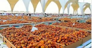 ارتفاع قيمة صادرات التمور السعودية إلى الدنمارك بنسبة 33% في 2025 | UN-News