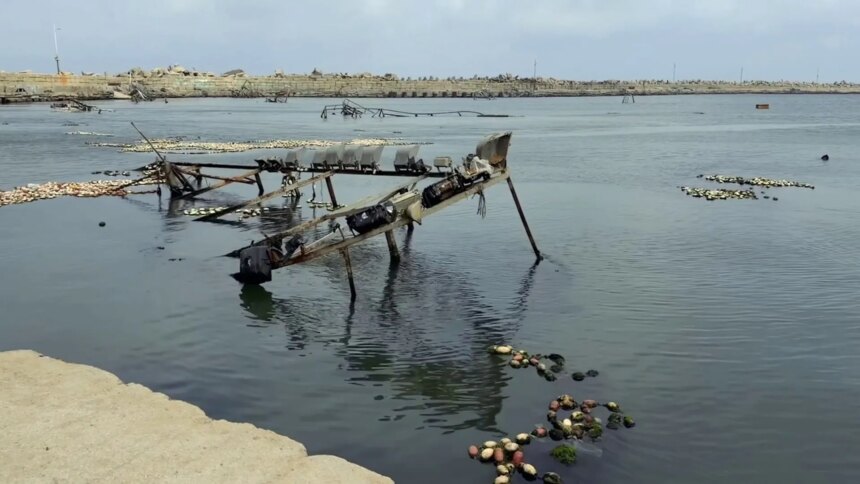 الاحتلال يلاحق صيادي غزة وينهش معيشهم بغرق مراكبهم الجديدة | أخبار فلسطين