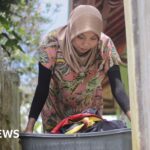 العاملات المنزليات يكملن رحلة قانونية بمعترف به رسميا في إندونيسيا.