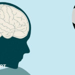 العلماء يكشفون عن تصميم كرات القدم لتقليل تأثير ركلات الرأس