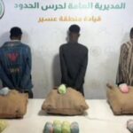 القبض على 3 إثيوبيين لتهريب القات لمنطقة عسير | تقارير un-news.org