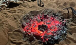 القبض على مواطن أشعل النار في محمية الملك عبدالعزيز في أماكن محظورة.