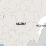 تنبوء "داعش" بعملية مسلحة في نيجيريا أسفرت عن مقتل 29 شخصًا.