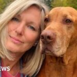 ثقافة سامة ضمن مستشفى أمراض النفوس تؤدي إلى محاولة انتحار لموظفين