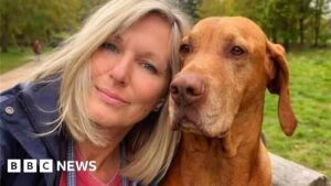 ثقافة سامة ضمن مستشفى أمراض النفوس تؤدي إلى محاولة انتحار لموظفين