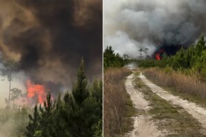 حرائق تستهلك برانتلي الأمريكية: صور أقمار صناعية تظهر دماراً كبيراً | أخبار