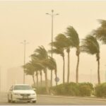 شاهد: 30 حالة نشاط غباري قاسية في المملكة الأمس - UN-NEWS