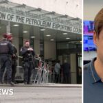 شاهد: سبب انسحاب دولة الإمارات العربية المتحدة من منظمة أوبك - UN News