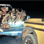 ضبط مواطن ينتقل بـحطب محلي في محمية طويق الطبيعية - UN News