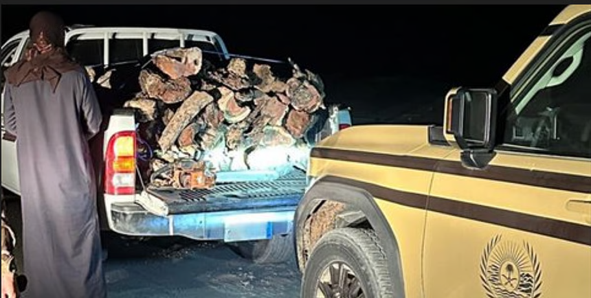 ضبط مواطن ينتقل بـحطب محلي في محمية طويق الطبيعية - UN News