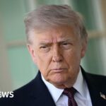 عائدات رسوم ترامب تبدأ ولكن المستهلكون يغيبون عن الظهور.