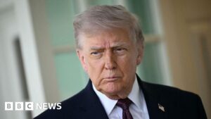 عائدات رسوم ترامب تبدأ ولكن المستهلكون يغيبون عن الظهور.