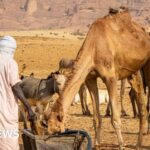 قتل على الأقل 42 شخصًا في تشاد بسبب تدهور نزاع حول بئر ماء.