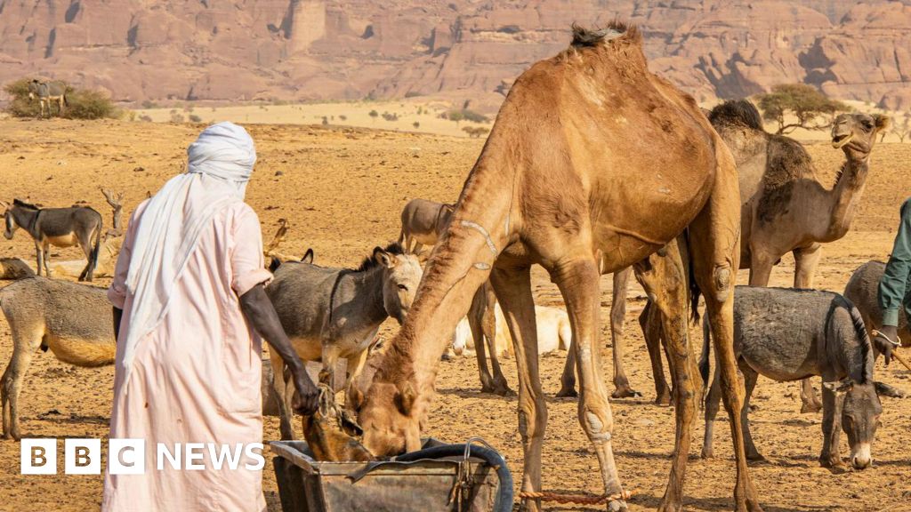 قتل على الأقل 42 شخصًا في تشاد بسبب تدهور نزاع حول بئر ماء.