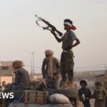 ماذا ينتظر أعضاء الحرس الجديد في مالي بعد الهجوم المفاجئ للانفصاليين؟