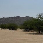 متنزه وادي المغمس البري.. عارض طبيعي يعزز سياحة البيئة في مكة.