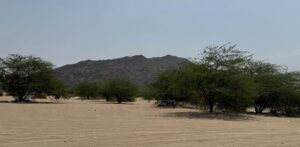 متنزه وادي المغمس البري.. عارض طبيعي يعزز سياحة البيئة في مكة.