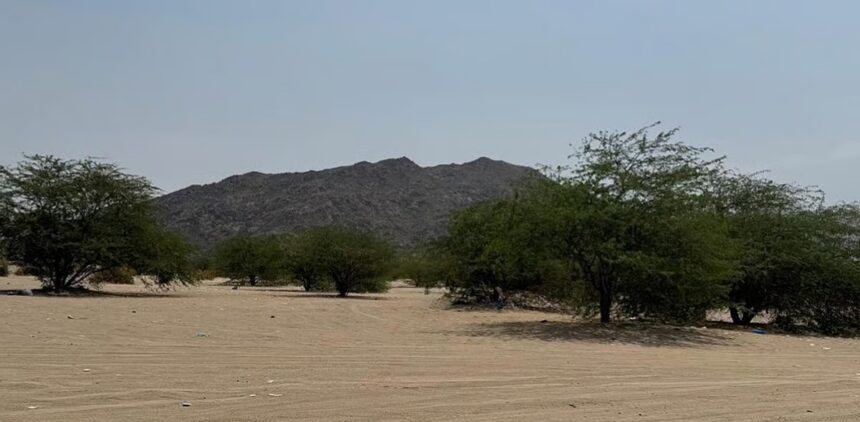 متنزه وادي المغمس البري.. عارض طبيعي يعزز سياحة البيئة في مكة.