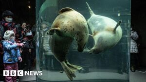 موظف حديقة حيوانات يابانية يشتبه في حرق جسد زوجته داخل فرن التدوير.