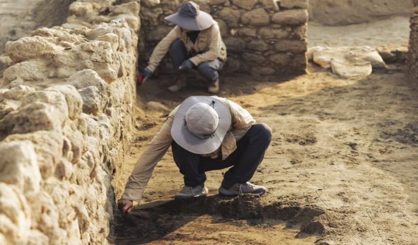 هيئة التراث تكشف نتائج تنقيب سعودي صيني في السرين الأثري 2025.