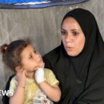 حشرات وأفاعي تهدد مخيمات العائدين من غزة (62 حرفًا)