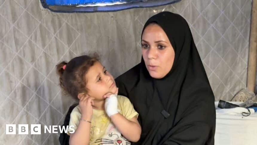 حشرات وأفاعي تهدد مخيمات العائدين من غزة (62 حرفًا)