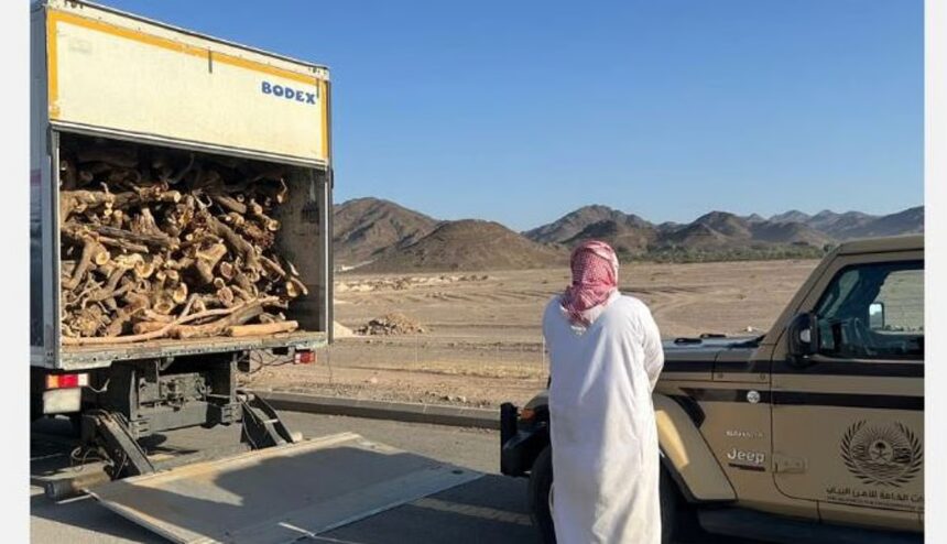 ضبط مواطن لمخالفته نظام البيئة بنقل حطب محلي في الرياض #مخالفة_بيئية